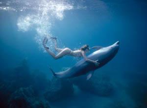 Nado con delfines Dolphinaris en Isla Cozumel Isla Cozumel