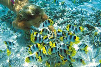 Practica Snorkel en Cozumel en AquaWorld Practica Snorkel en Isla Cozumel
