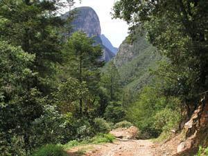 Ruta ecoturística dentro del Parque Nacional Cumbres en Monterrey Parque Nacional Cumbres en Monterrey