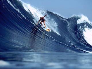 Espectáculos y eventos deportivos en Puerto Escondido Espectáculos y eventos deportivos en Puerto Escondido
