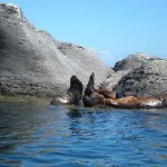 Bahia de Loreto