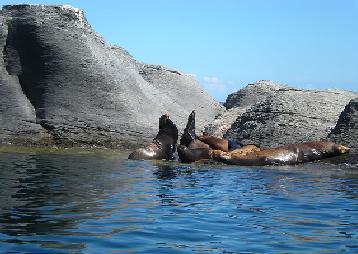 Bahia de Loreto