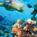 Snorkel en Isla Mujeres