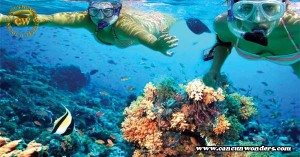 Snorkel en Isla Mujeres