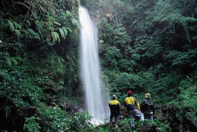 ecoturismo-en-veracruz.jpg