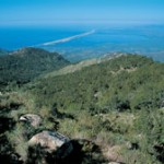 el veladero