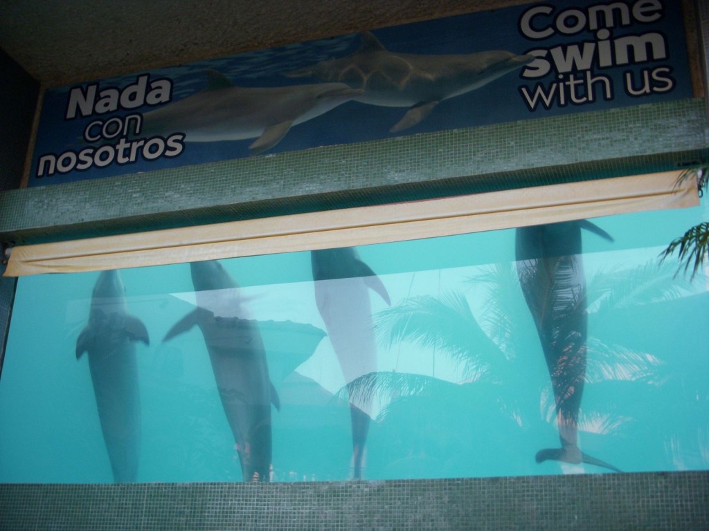 en cancun interactive aquarium