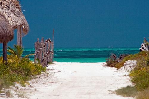 Ven a Isla Holbox donde los sueños se hacen realidad Isla Holbox