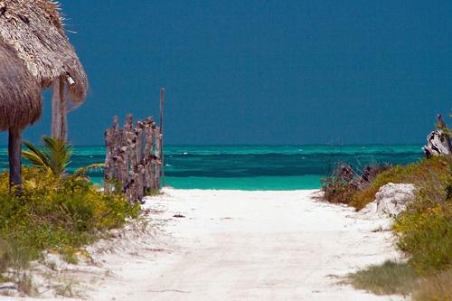 estando en cancun visite isla holbox