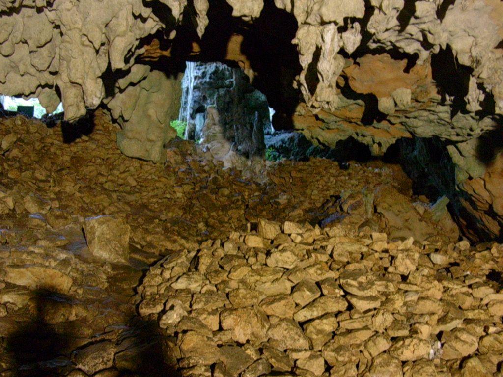 Ecoturismo en Mérida