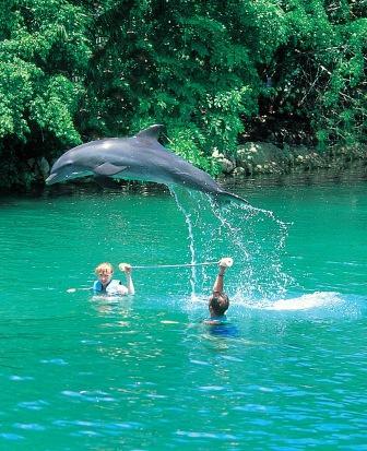 Nado con delfines en Xel-Há