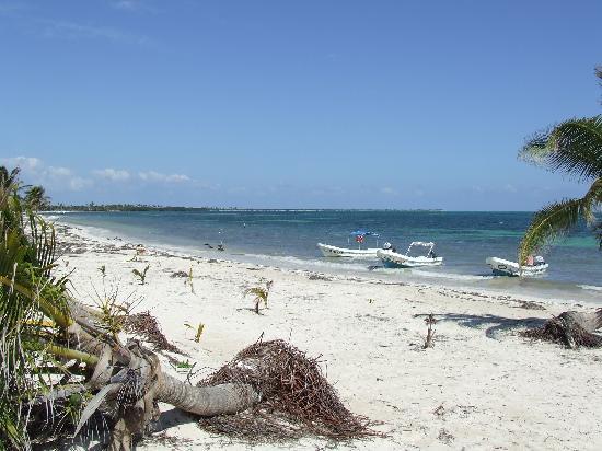 Punta Allen