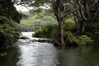 reserva especial de la biosfera de los tuxtlas en veracruz