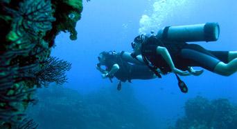 Tours de Buceo en Puerto Vallarta: Explora la vida submarina Buceo en Puerto Vallarta