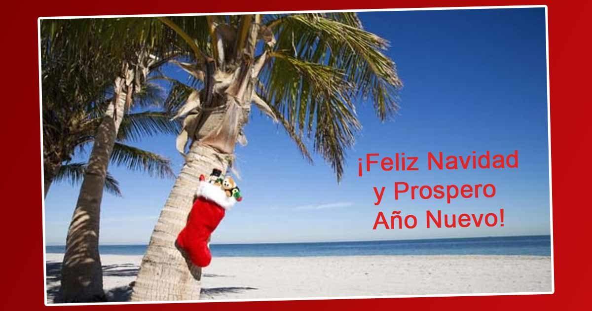 Prepara tus Vacaciones para Navidad y Año Nuevo