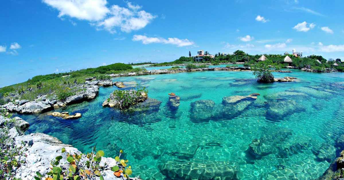 Cenotes en Playa del Carmen Riviera Maya