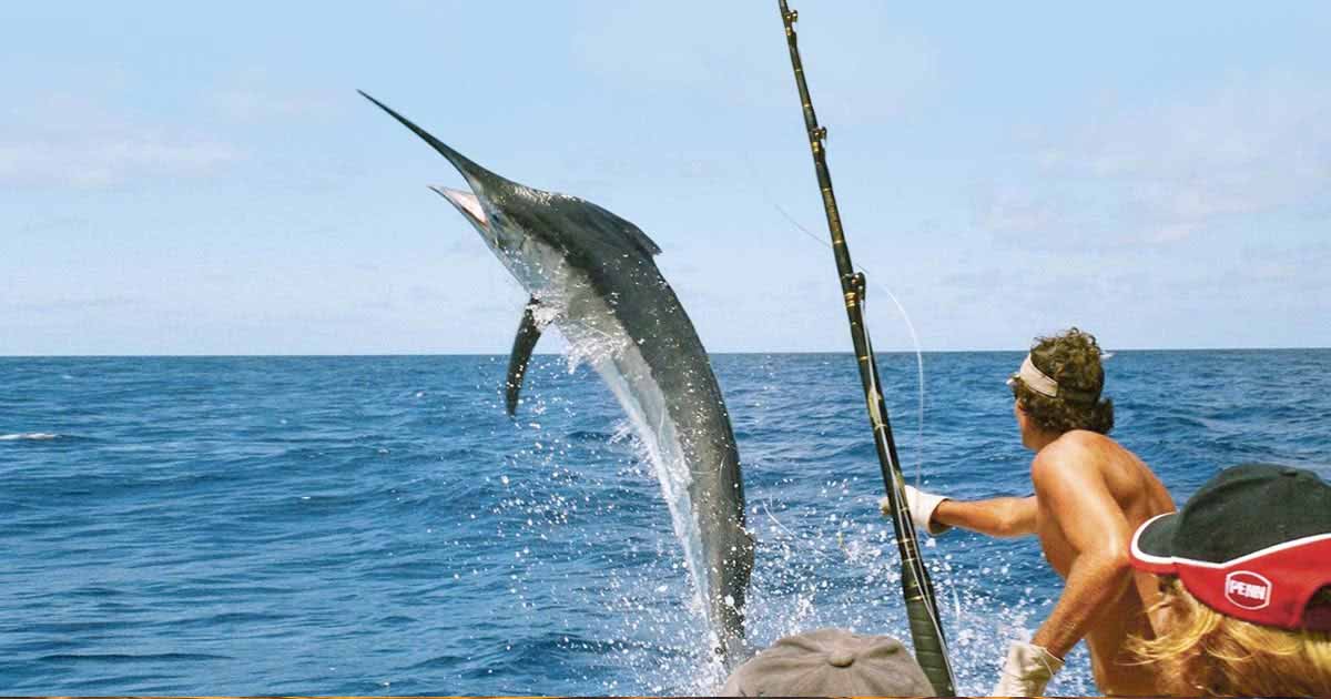 Pesca deportiva en Cabo San Lucas