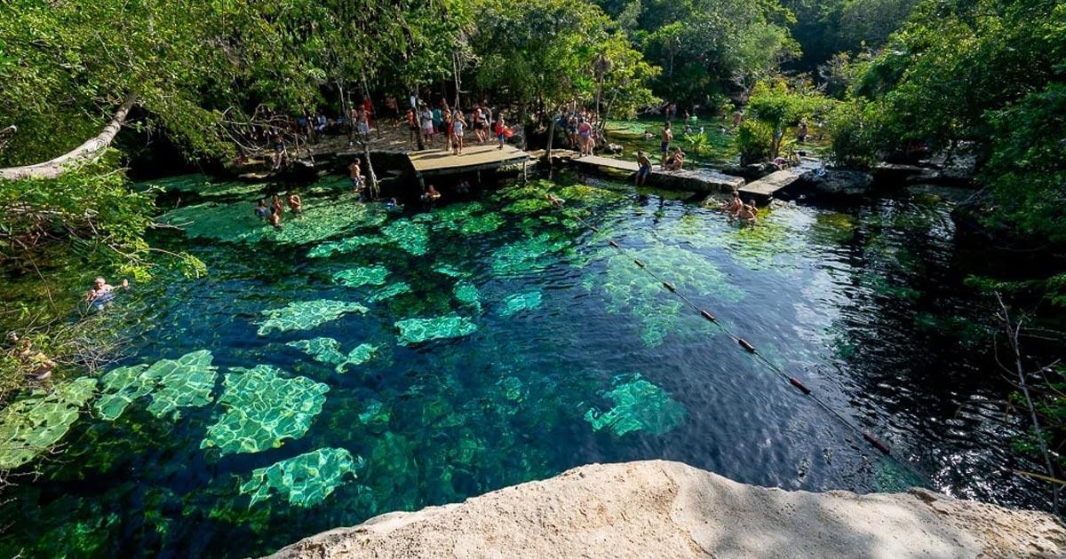 Cenotes en Playa del Carmen y mas destinos magicos