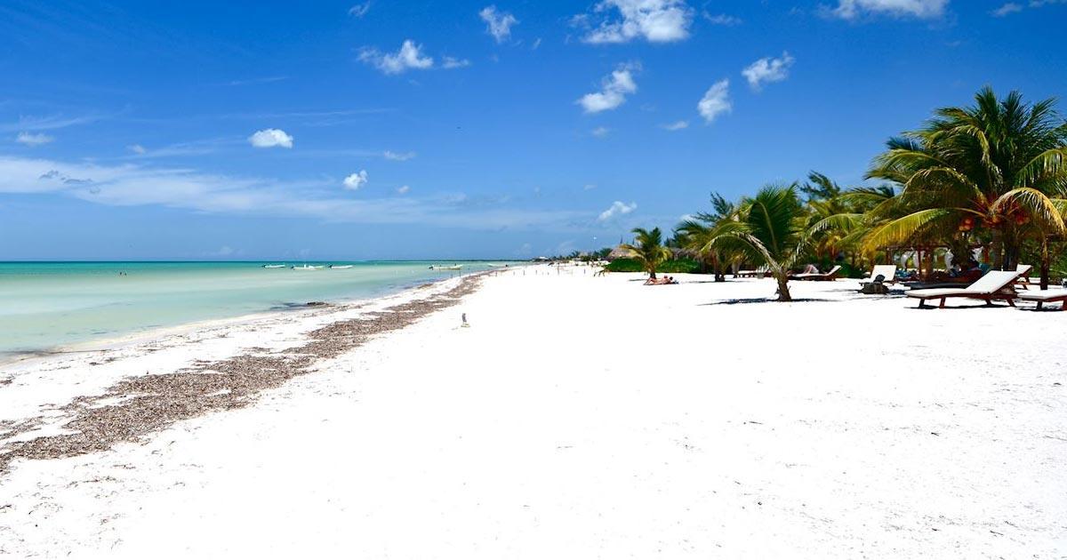 Conozca de cerca la Isla Holbox Quintana Roo Conozca de cerca la Isla Holbox Quintana Roo
