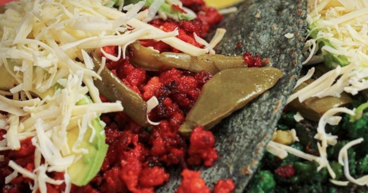 Gastronomia del Estado de Mexico una vivencia inigualable