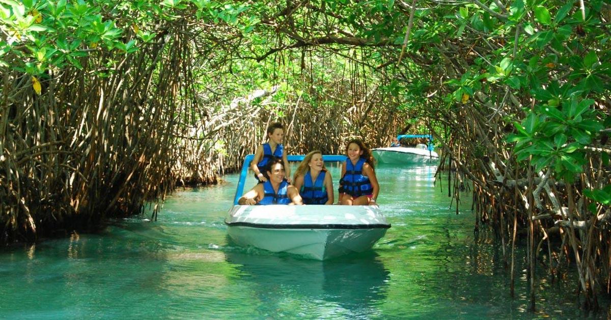 Jungle Tours en Cancun Aventuras Inolvidables