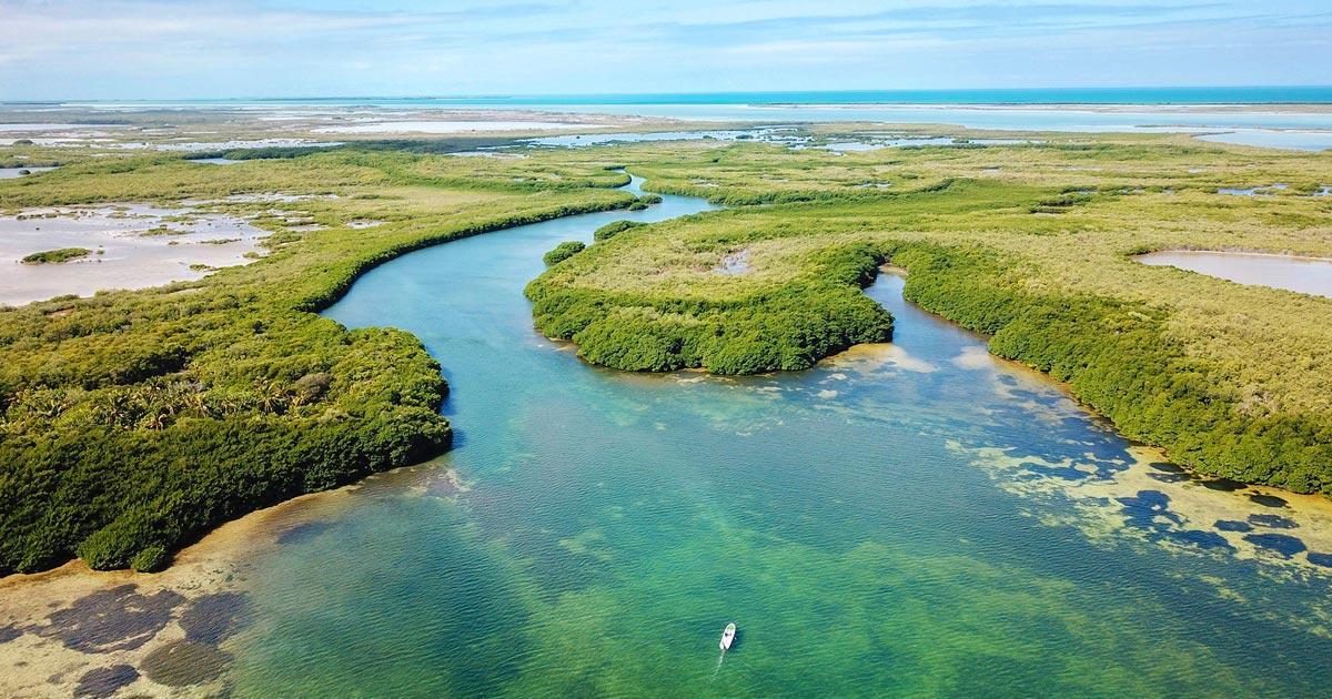 Parque Nacional Arrecifes de Xcalak Hogar de la Vida Marina