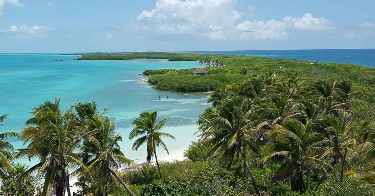 Parque Nacional Isla Contoy nuevas maravillas por descubrir Parque Nacional Isla Contoy nuevas maravillas por descubrir