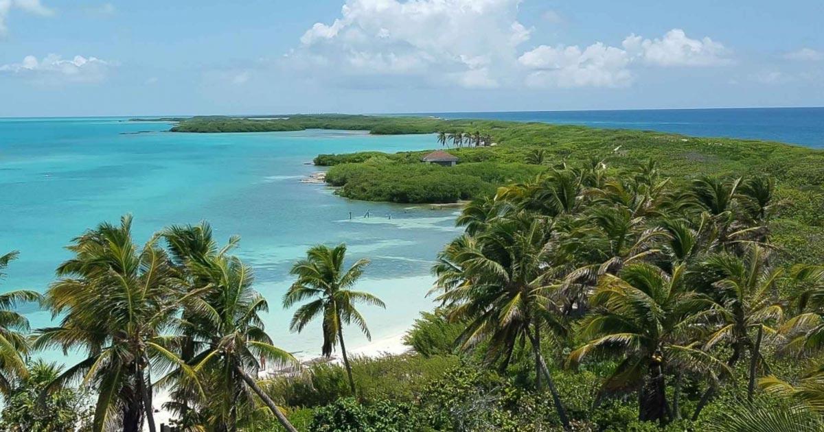 Parque Nacional Isla Contoy nuevas maravillas por descubrir