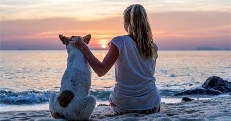 ¿Qué hoteles en Puerto Vallarta aceptan mascotas?