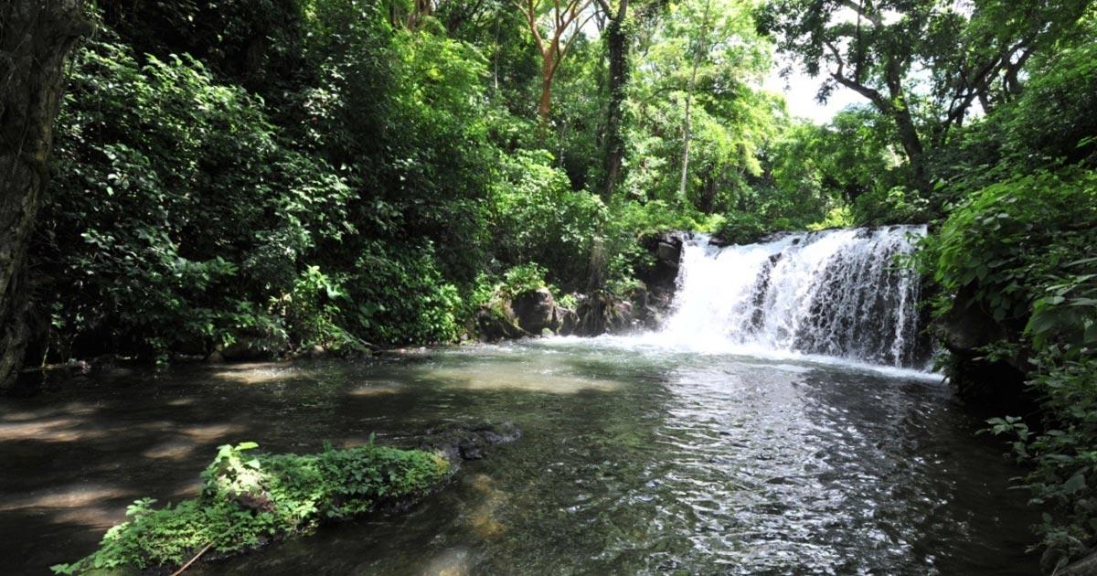 Reserva Especial de la Biosfera de Los Tuxtlas en Veracruz