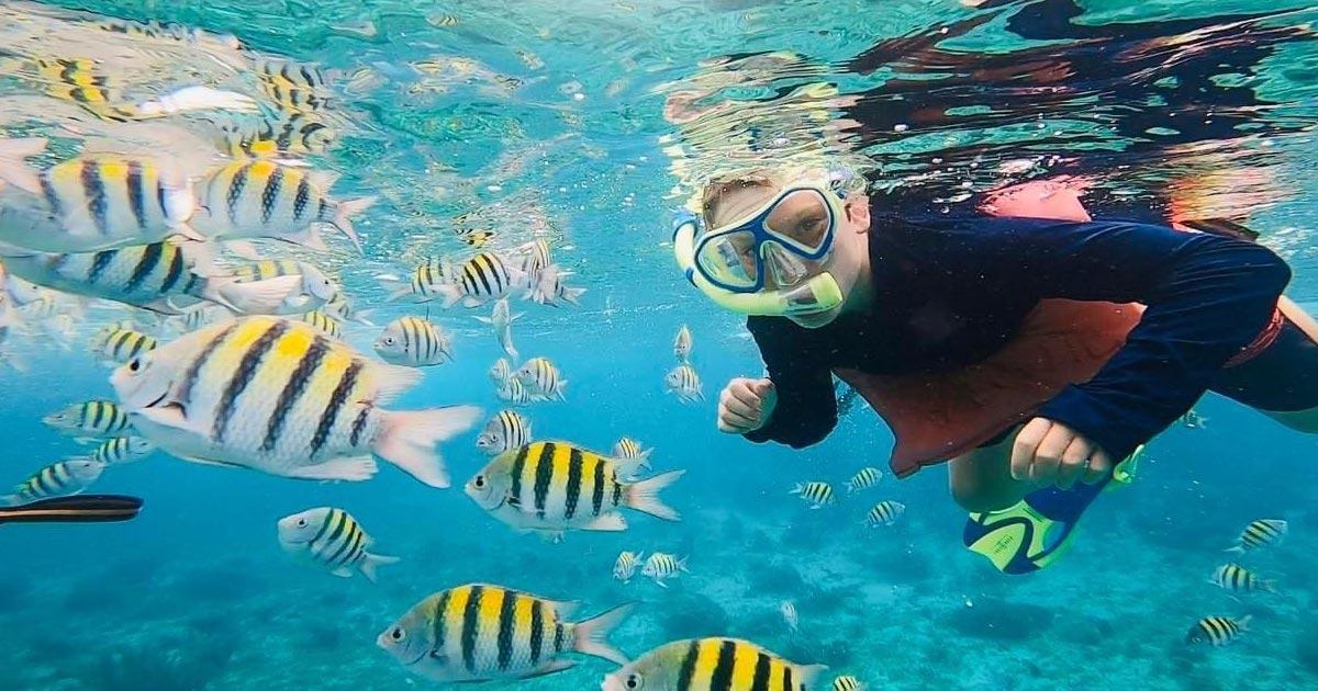 Snorkeling Isla Mujeres muy cerca de Cancun