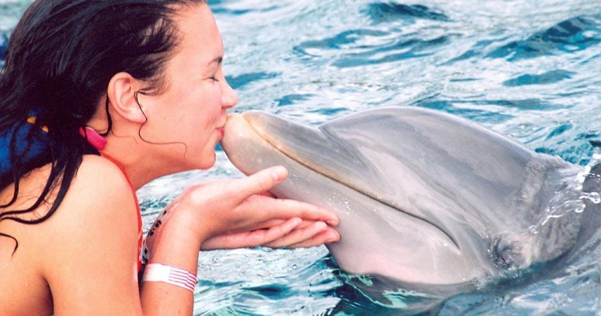 Ven a disfrutar del nado con delfines en Xel Ha