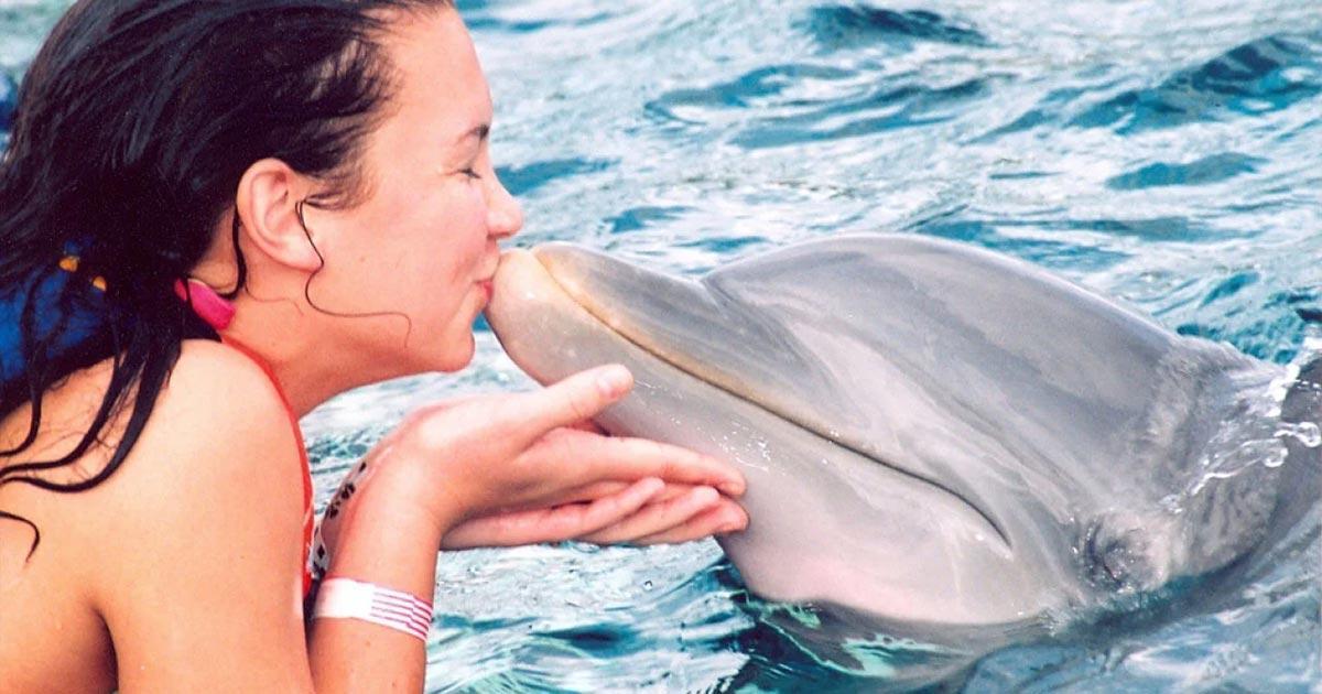 Ven a disfrutar del nado con delfines en Xel-Há Ven a disfrutar del nado con delfines en Xel Ha