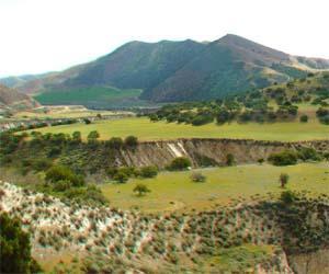 Hoteles en Arroyo Seco