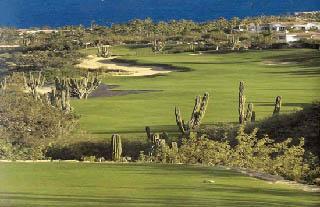 Golf en Cabo San Lucas