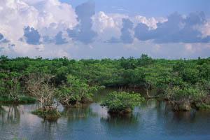 cancun jungle tour