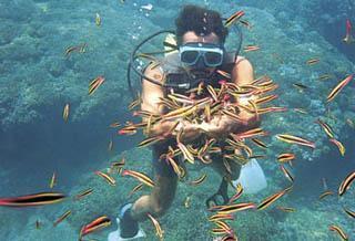 buceo en Huatulco