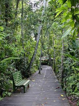 Actividades al aire libre en Manzanillo