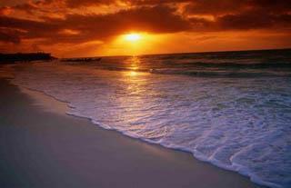 Tours y Excursiones en Playa del Carmen Tours y Excursiones en Playa del Carmen
