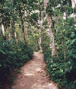 Discovery Jungle Park Discovery Jungle Park
