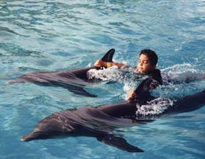 Nado con Delfines en Puerto Aventuras