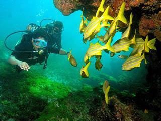 Buceo en Puerto Escondido