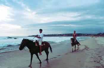 Ecoturismo en San Jose del Cabo