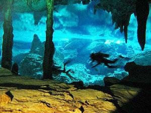 Acuatic Tulum Dive Center