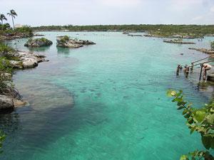 Parks in Riviera Maya near Tulum