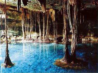 Cenotes en Yucatán