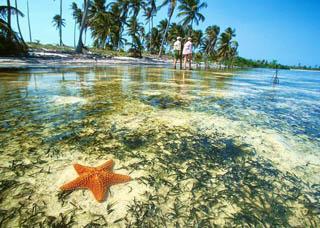 Tours y excursiones en Yucatán