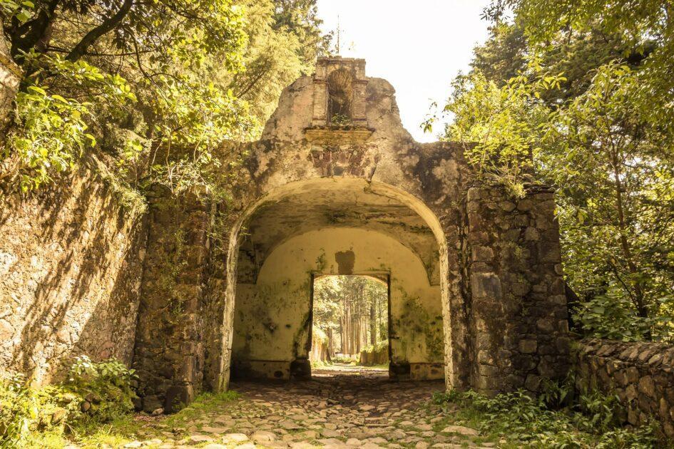 parque nacional desierto de los leones