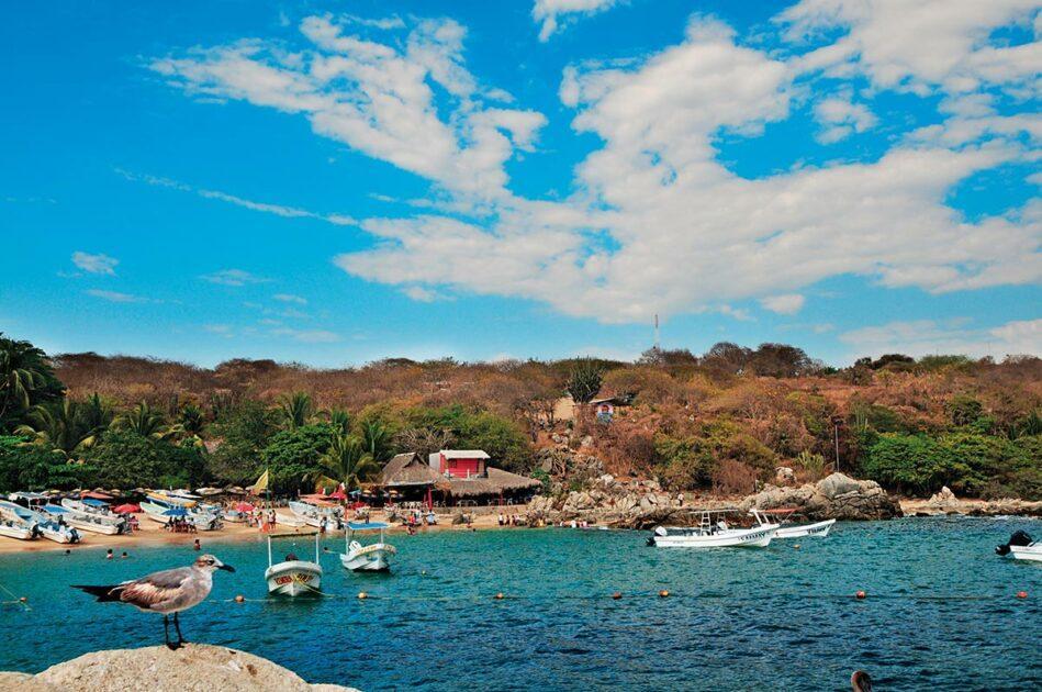 Goza de la mejor playa de Oaxaca: Un paraíso de arena y mar