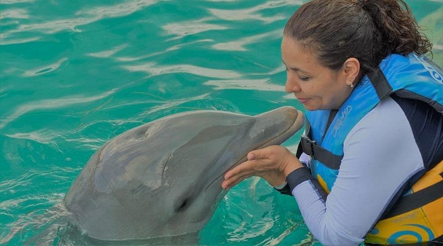 tours de nado con delfines en cancun una experiencia unica